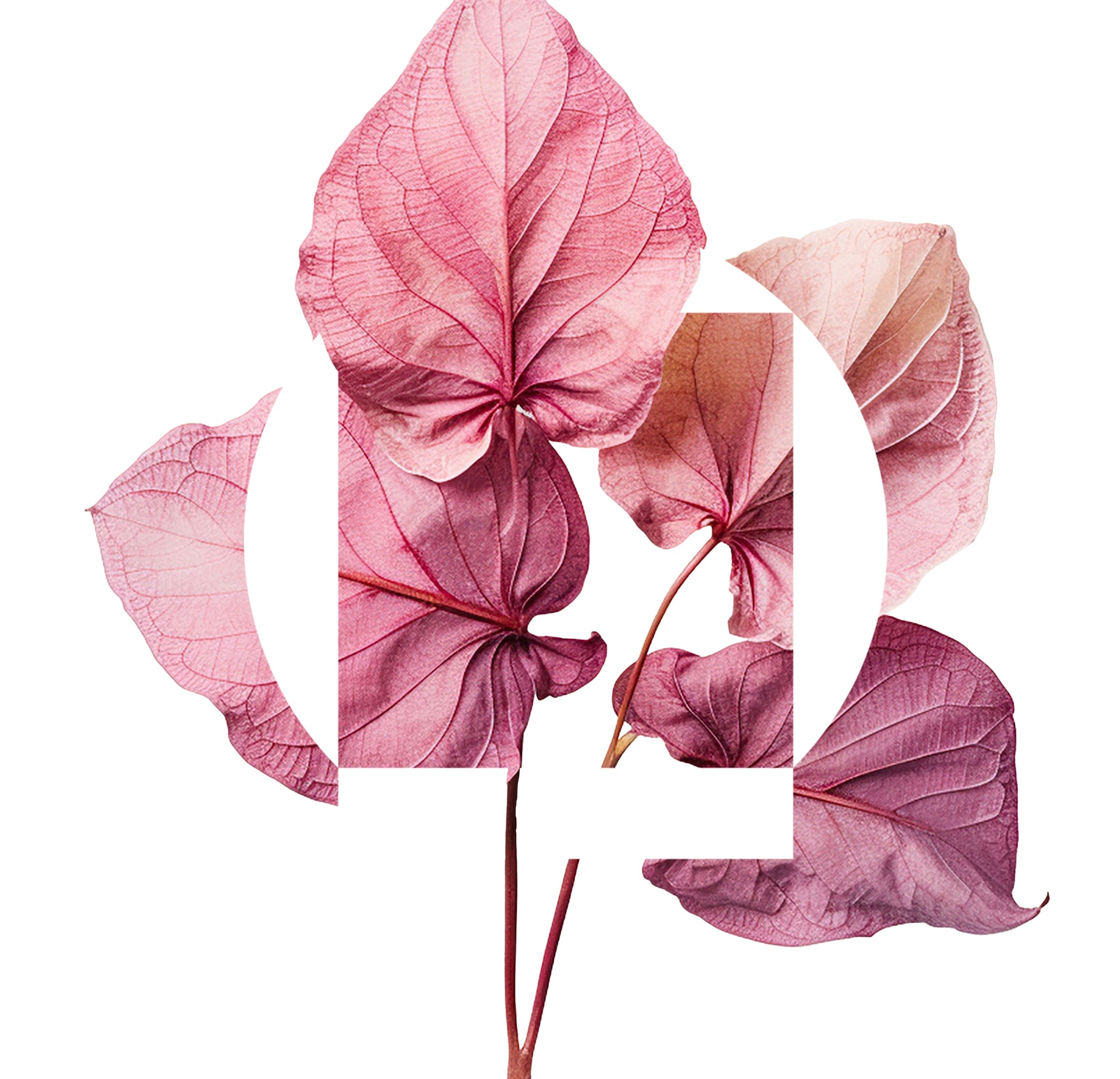 Report Cover Photo