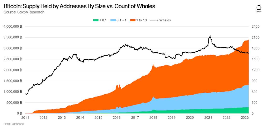 Bitcoin: Supply Held by Addresses By Size vs. Count of Whales - chart