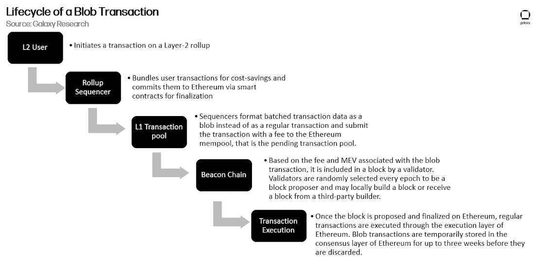 graphic 4