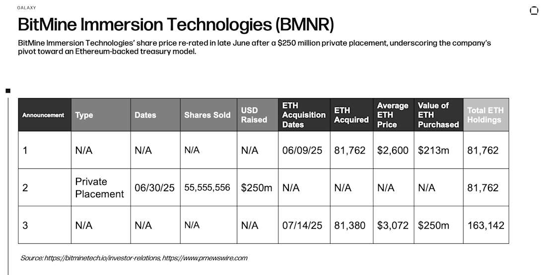 BitMine Immersion Technologies (BMNR) Raises and ETH Acquisitions